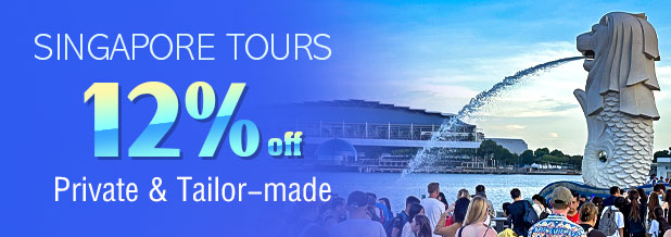 singapore tours