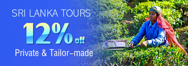 srilanka tours