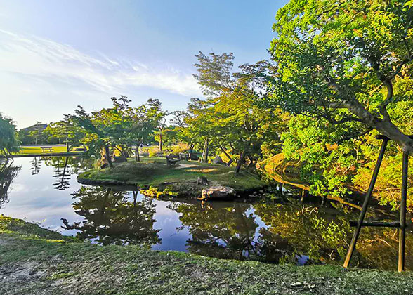 Nara Park - Photo 29