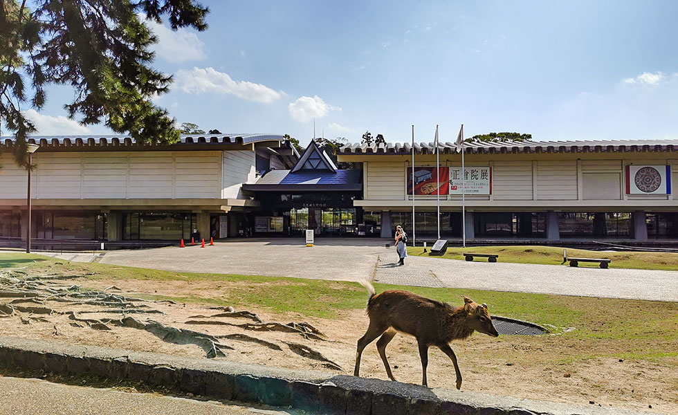 Nara National Museum - Photo 6