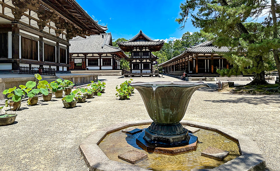 Toshodai-ji Temple - Photo 6