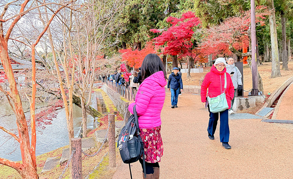 Nigtsu-do - Photo 9