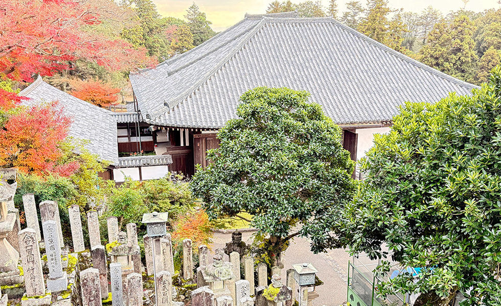 Nigtsu-do - Photo 10