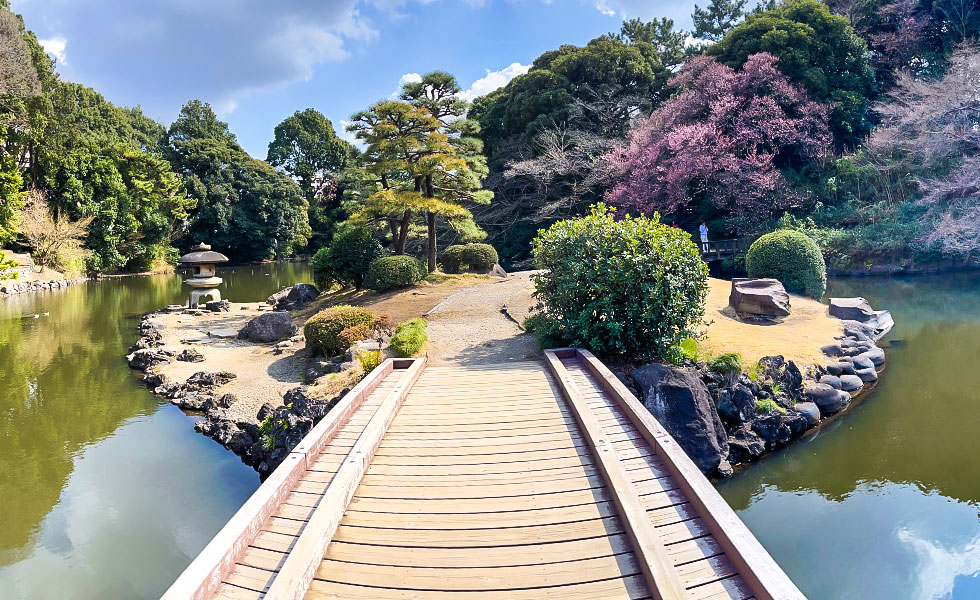 Shinjuku Gyoen National Garden - Photo 19