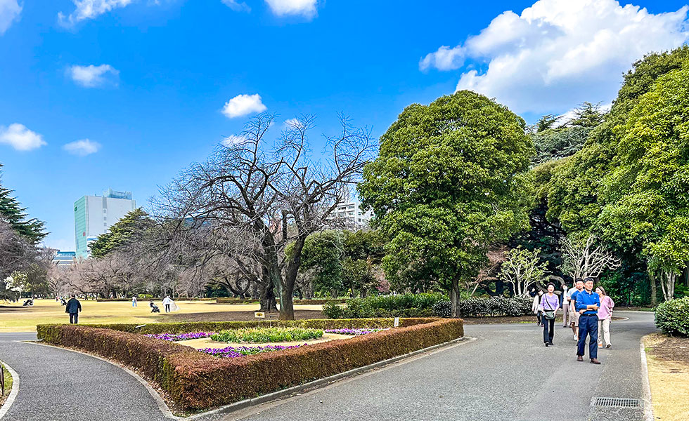 Shinjuku Gyoen National Garden - Photo 2