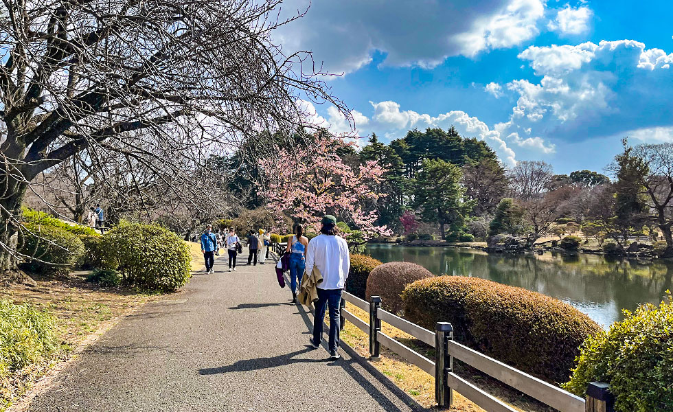 Shinjuku Gyoen National Garden - Photo 6
