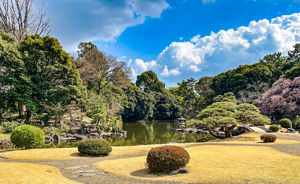 Shinjuku Gyoen National Garden - Photo 18