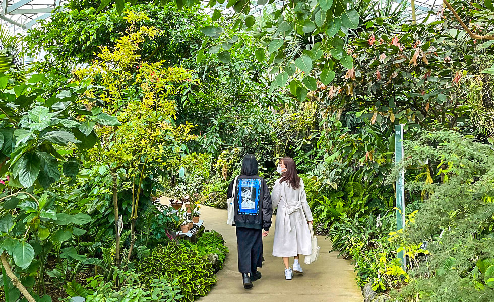 Shinjuku Gyoen National Garden - Photo 17