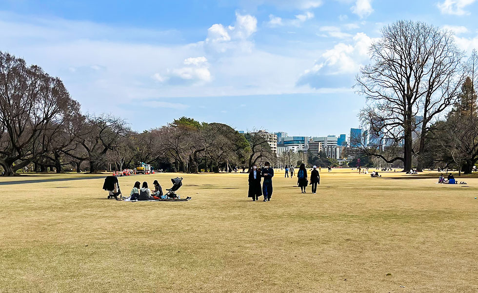 Shinjuku Gyoen National Garden - Photo 11