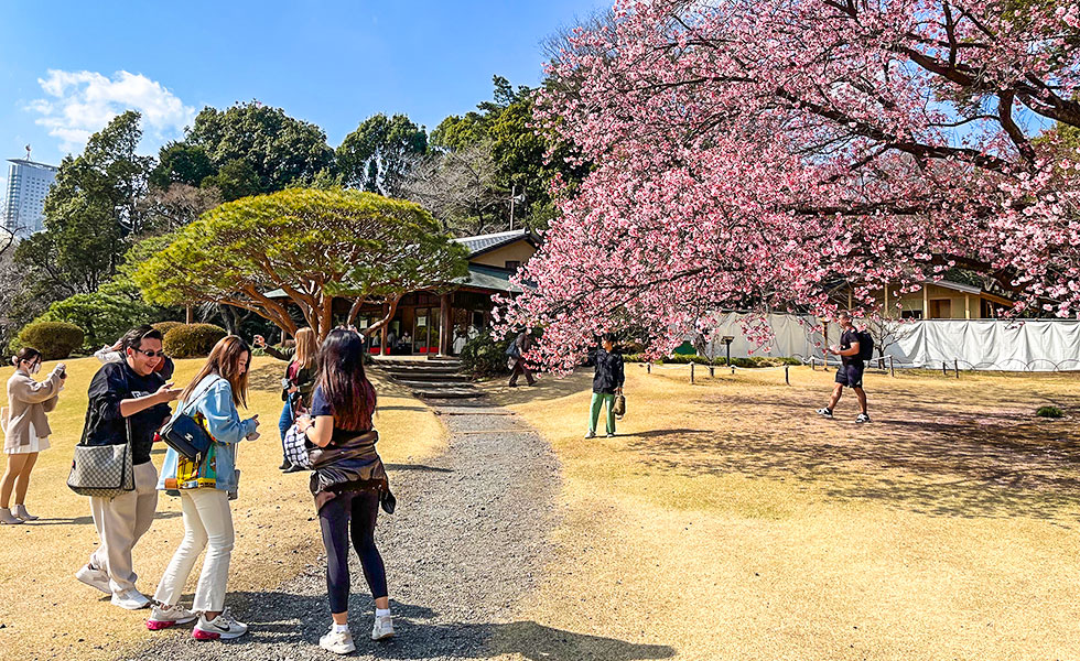 Shinjuku Gyoen National Garden - Photo 8