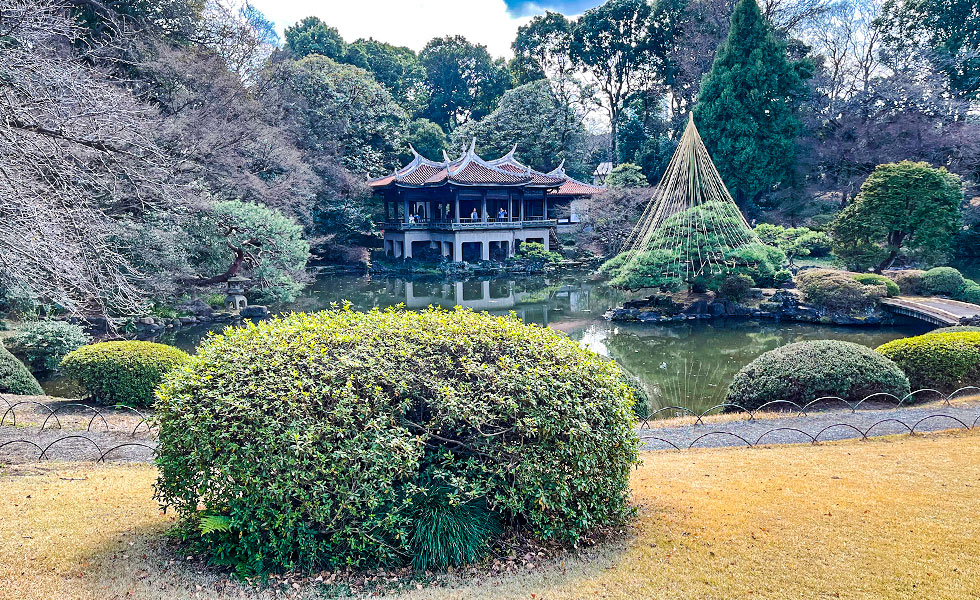 Shinjuku Gyoen National Garden - Photo 20