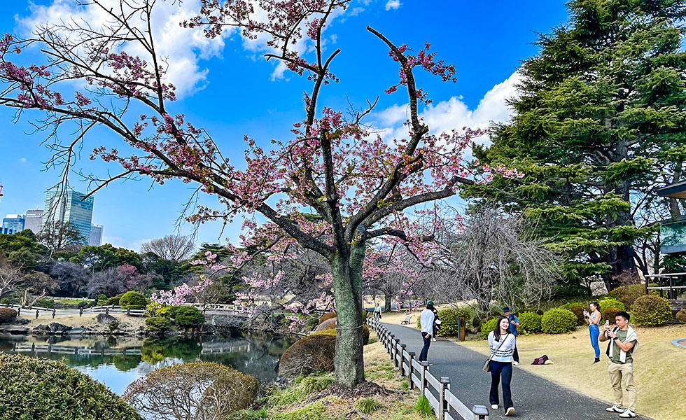 Shinjuku Gyoen National Garden - Photo 5