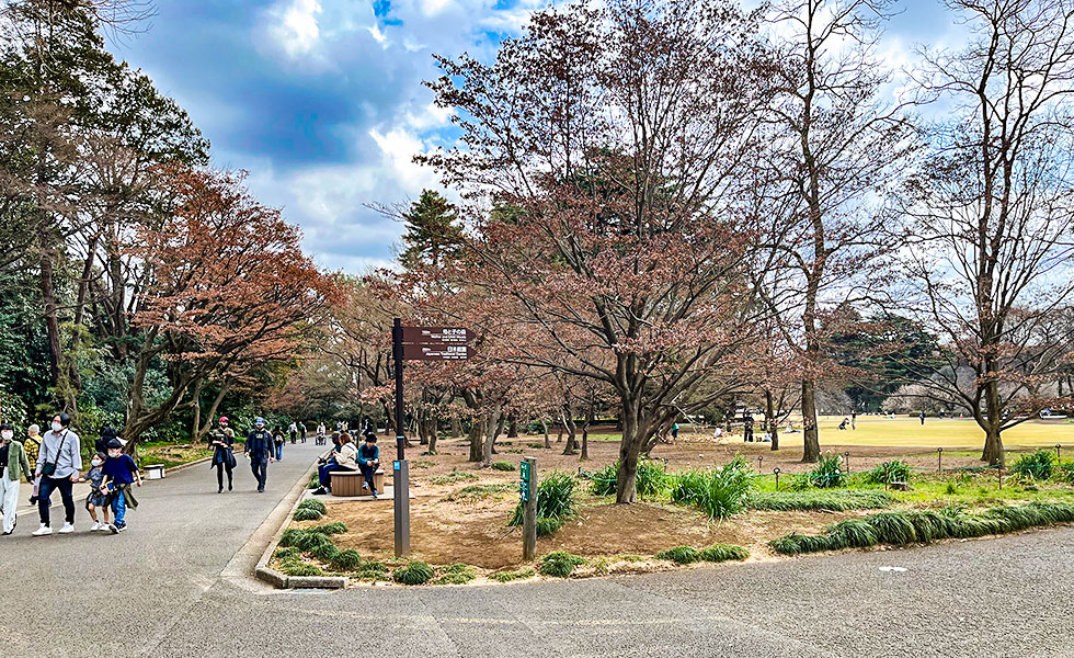 Shinjuku Gyoen National Garden - Photo 3