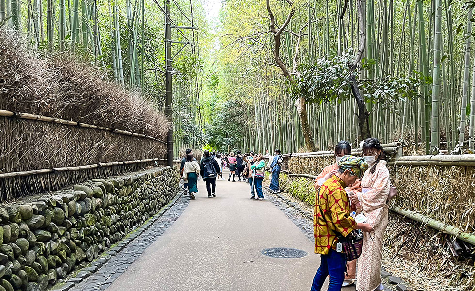 Arashiyama - Photo 26
