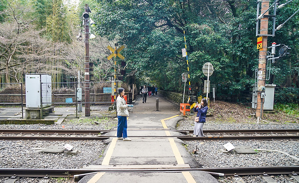 Arashiyama - Photo 38