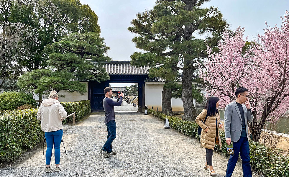 Nijo Castle - Photo 36