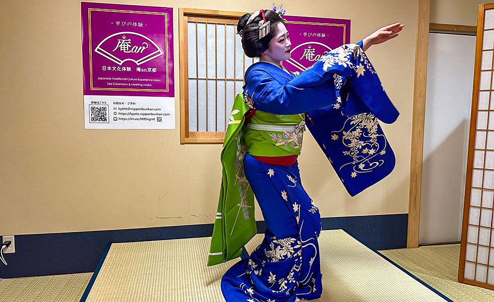 Tea Ceremony with Maiko - Photo 20