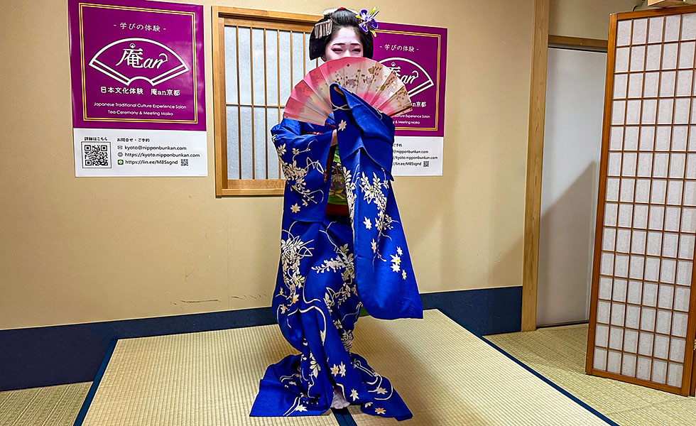 Tea Ceremony with Maiko - Photo 15