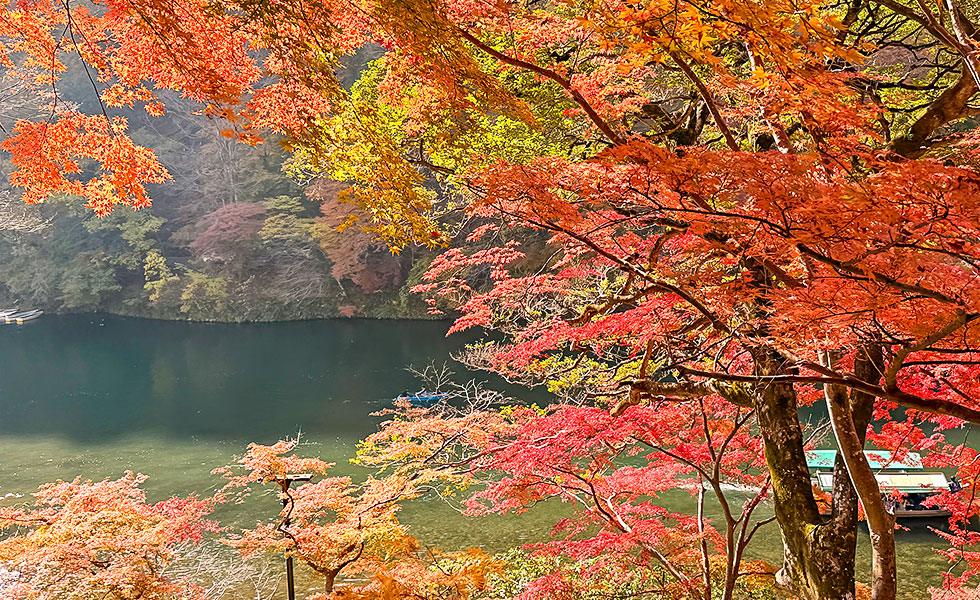 Arashiyama - Photo 17