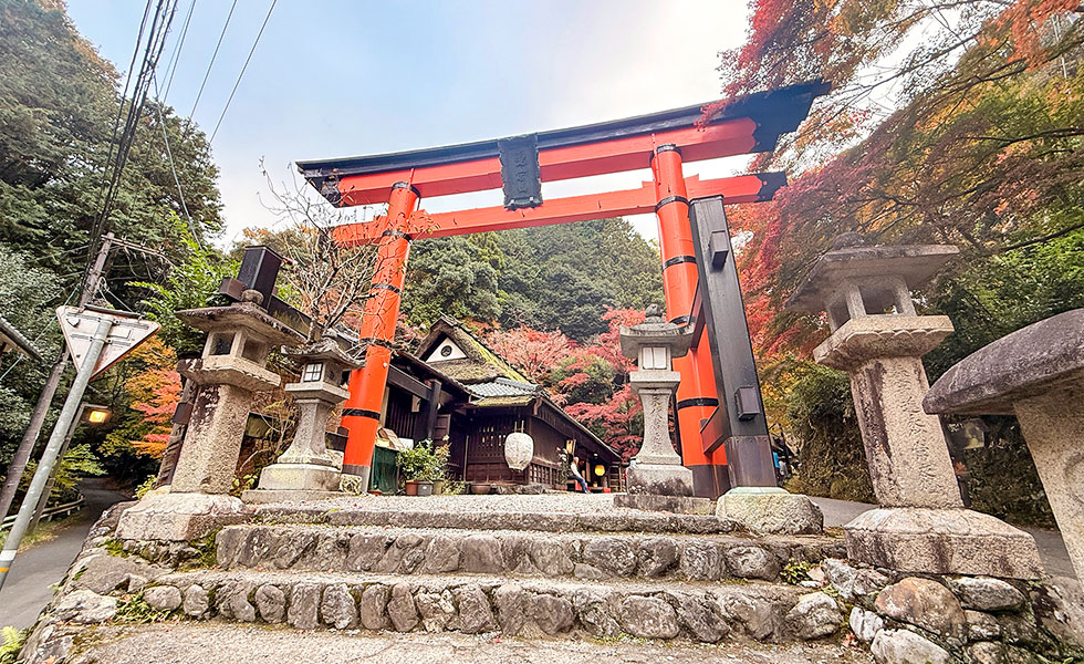 Arashiyama - Photo 8