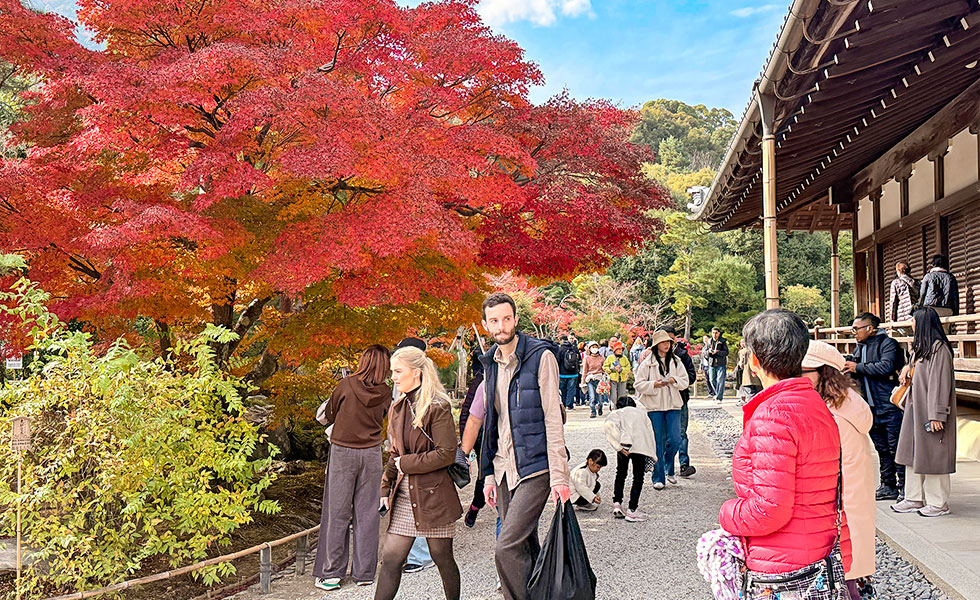 Arashiyama - Photo 11