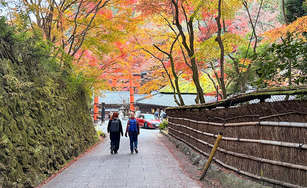 Arashiyama - Photo 13