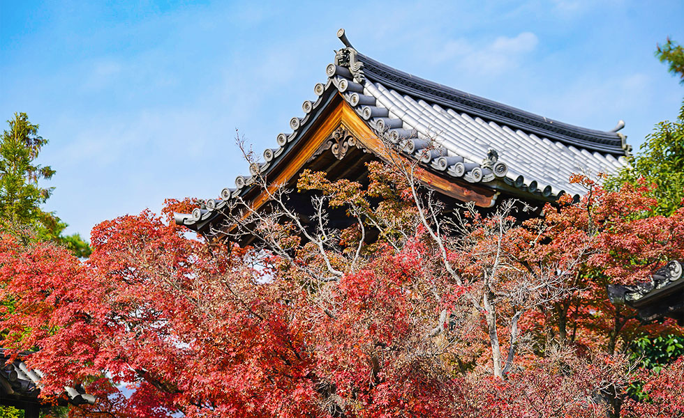 Arashiyama - Photo 12