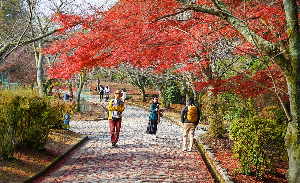 Arashiyama - Photo 18