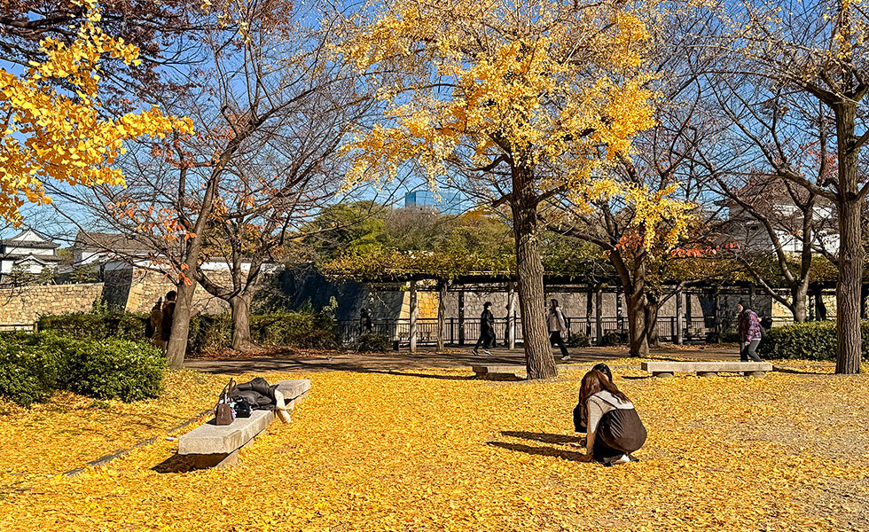 Osaka Castle - Photo 1
