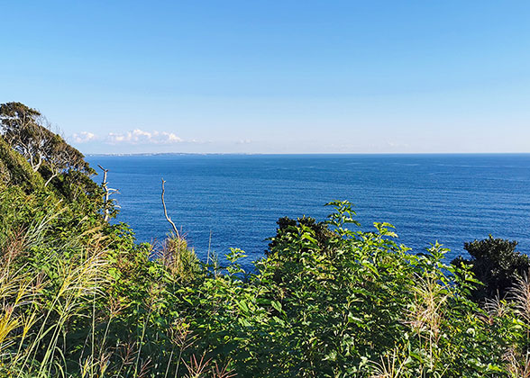 Enoshima Island