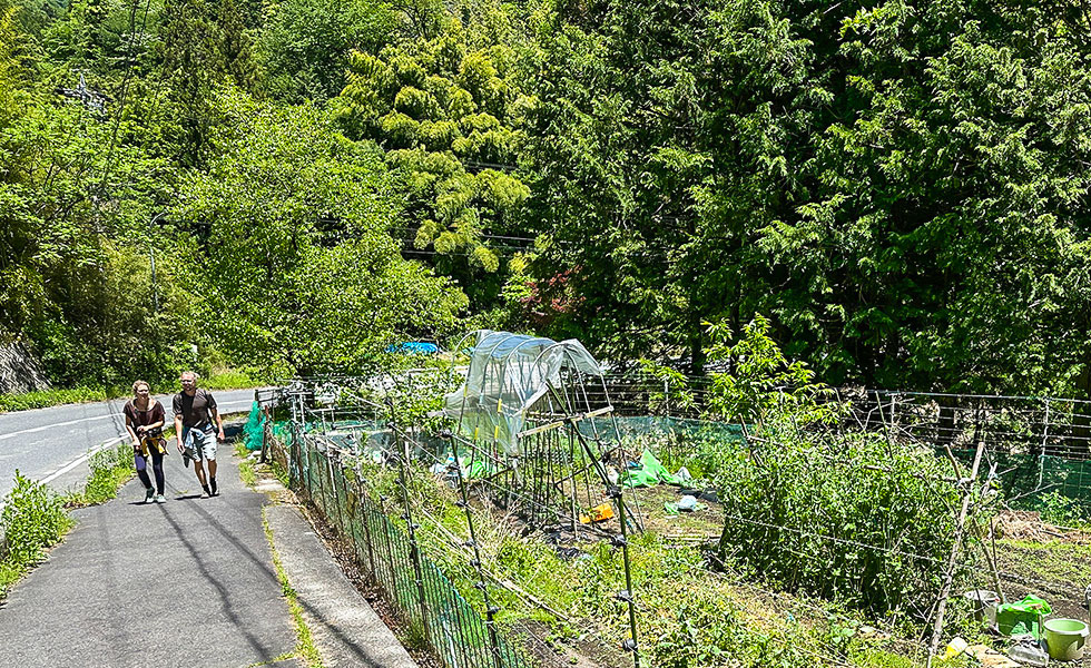 Hiking - Photo 10