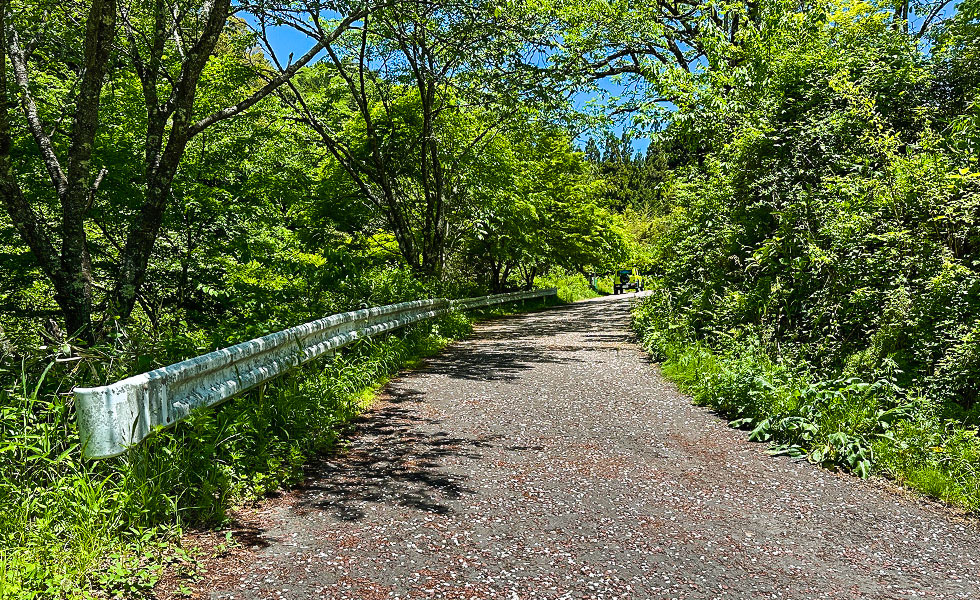 Hiking - Photo 13