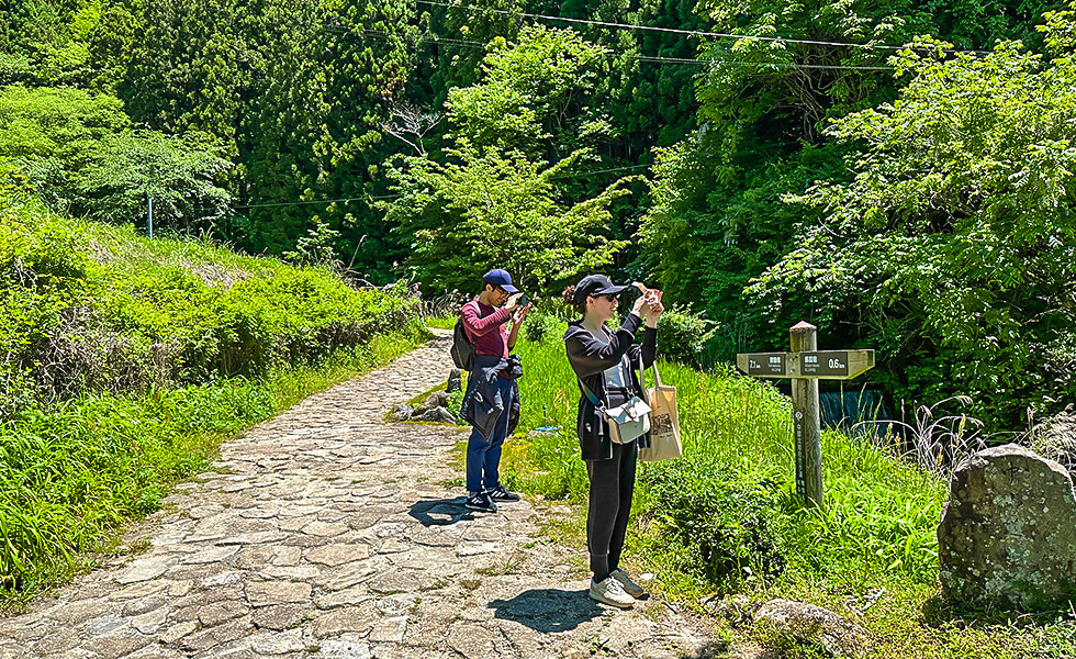 Hiking - Photo 8