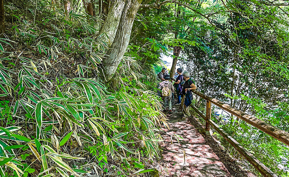 Hiking - Photo 7