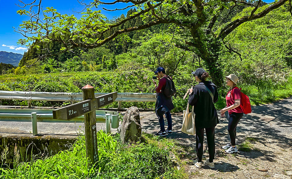 Hiking - Photo 9