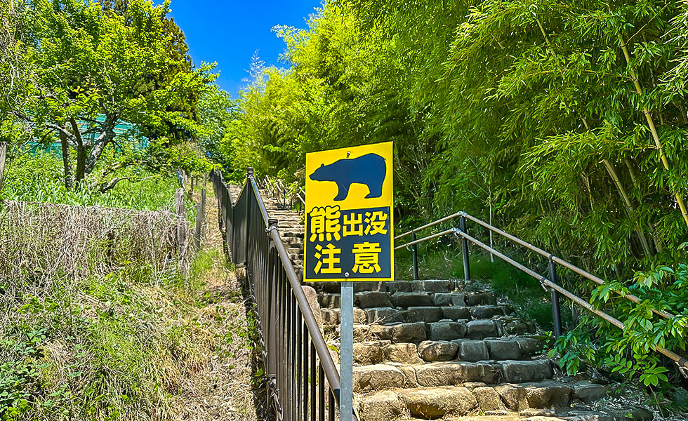 Hiking - Photo 5