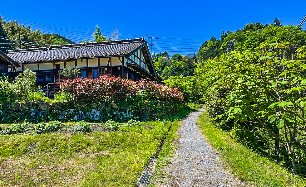 Hiking - Photo 17