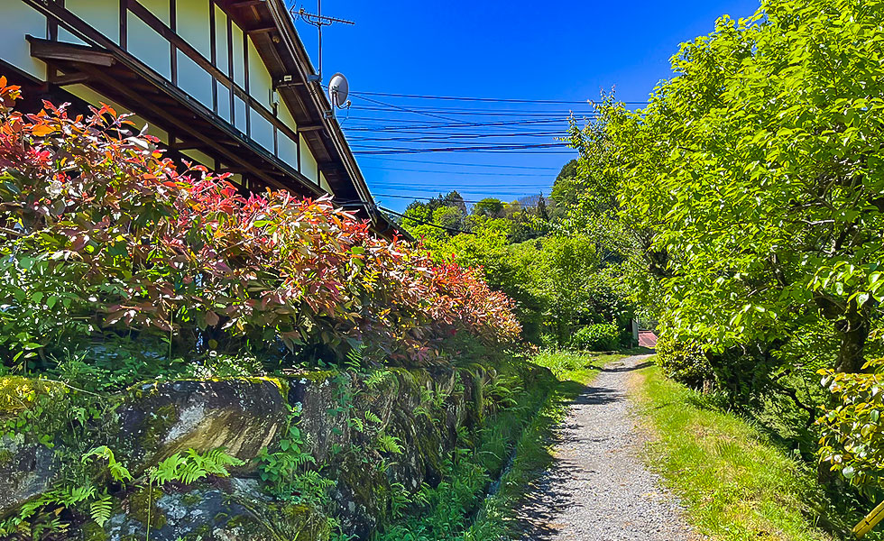 Hiking - Photo 18