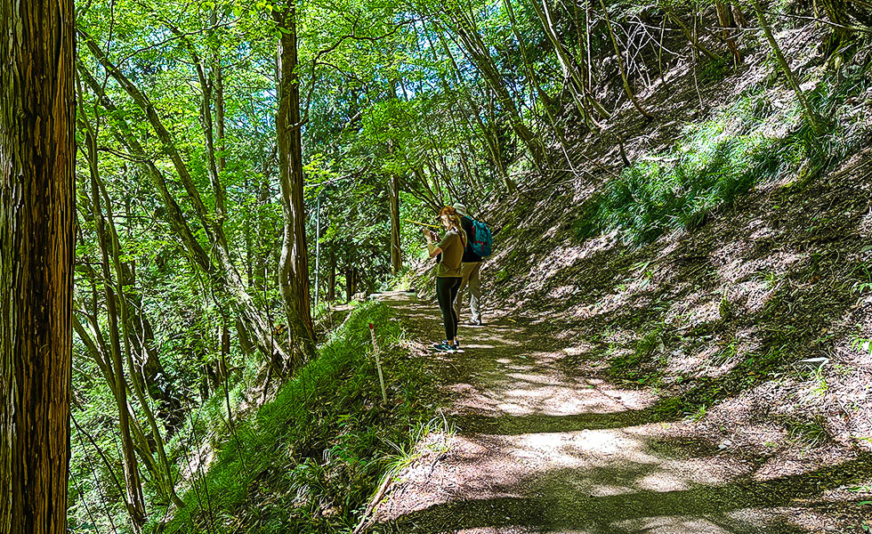 Hiking - Photo 29