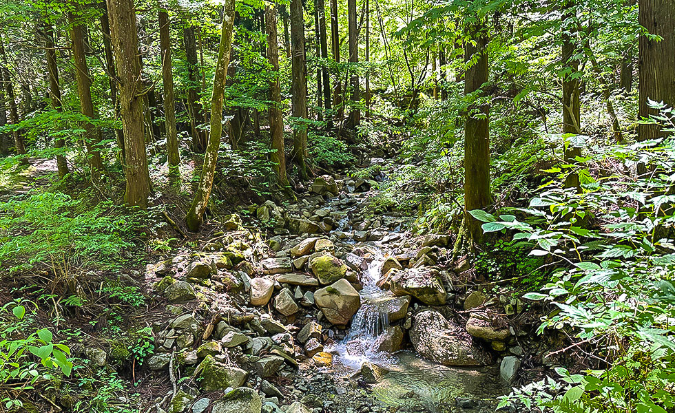 Hiking - Photo 28