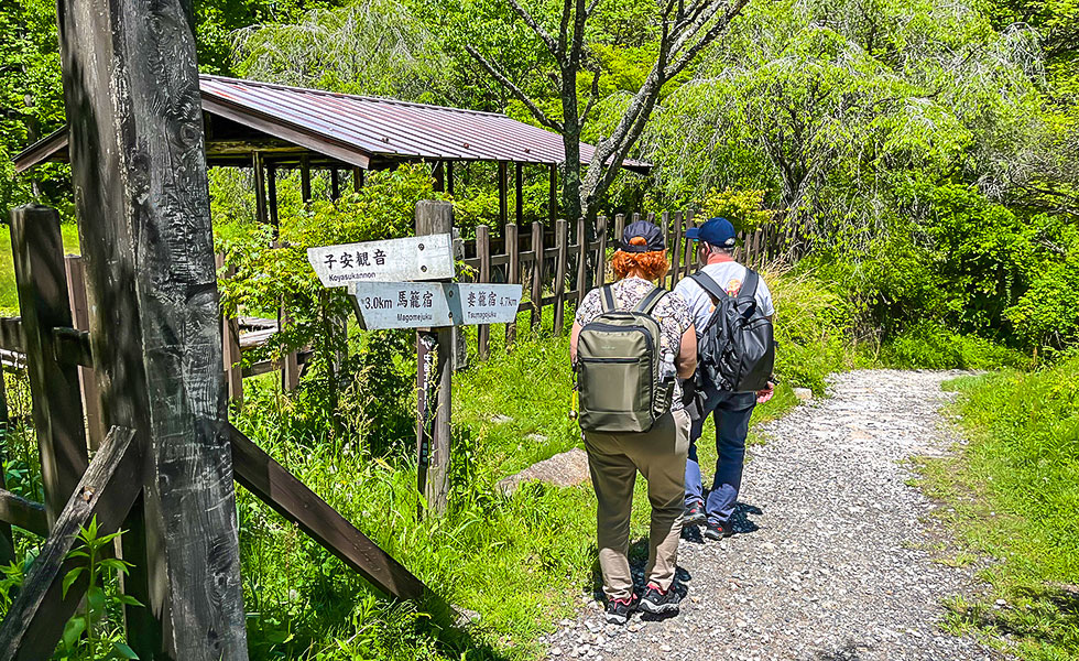 Hiking - Photo 24