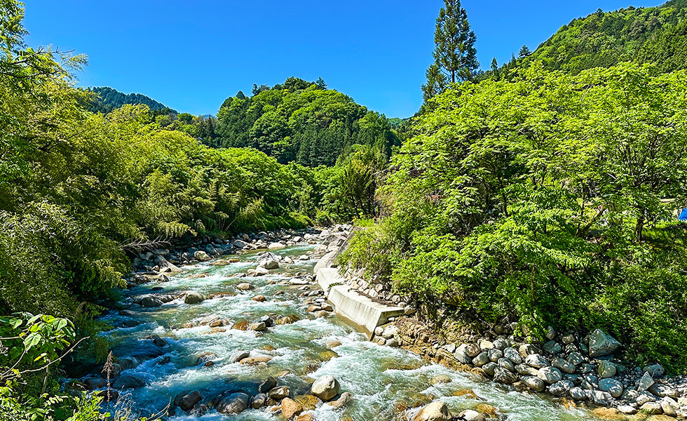 Hiking - Photo 39
