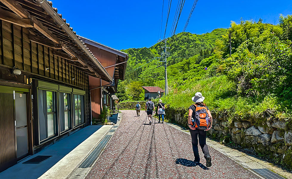 Hiking - Photo 21