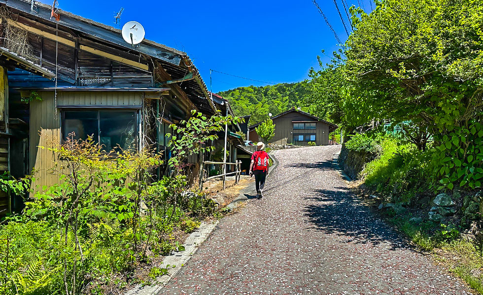 Hiking - Photo 16