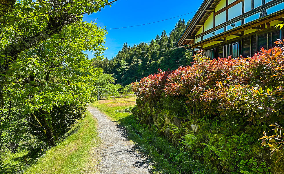 Hiking - Photo 19