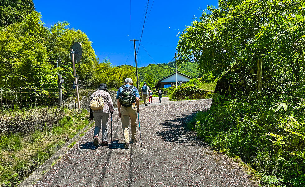 Hiking - Photo 14