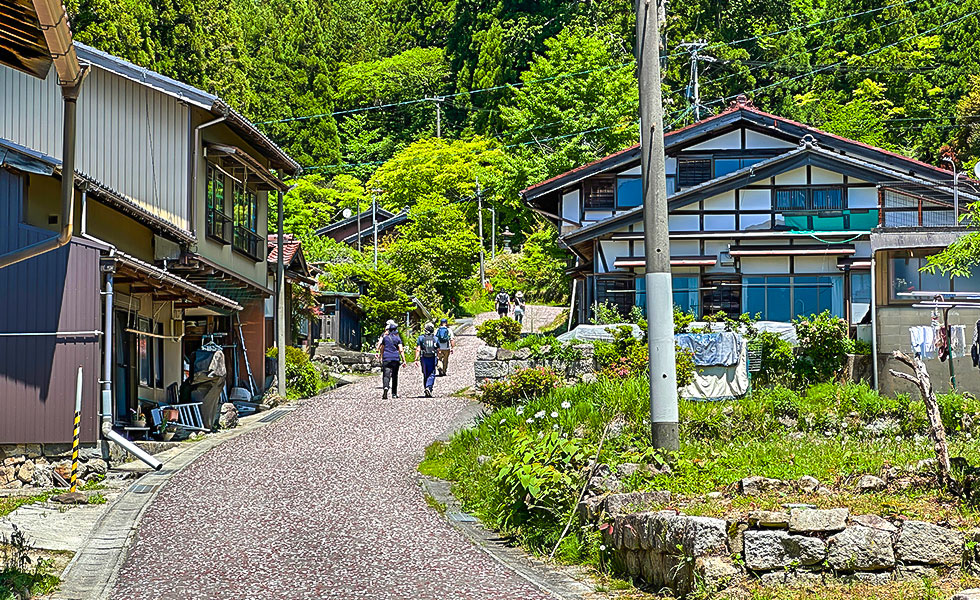 Hiking - Photo 23