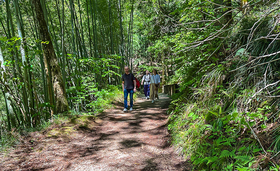 Hiking - Photo 30