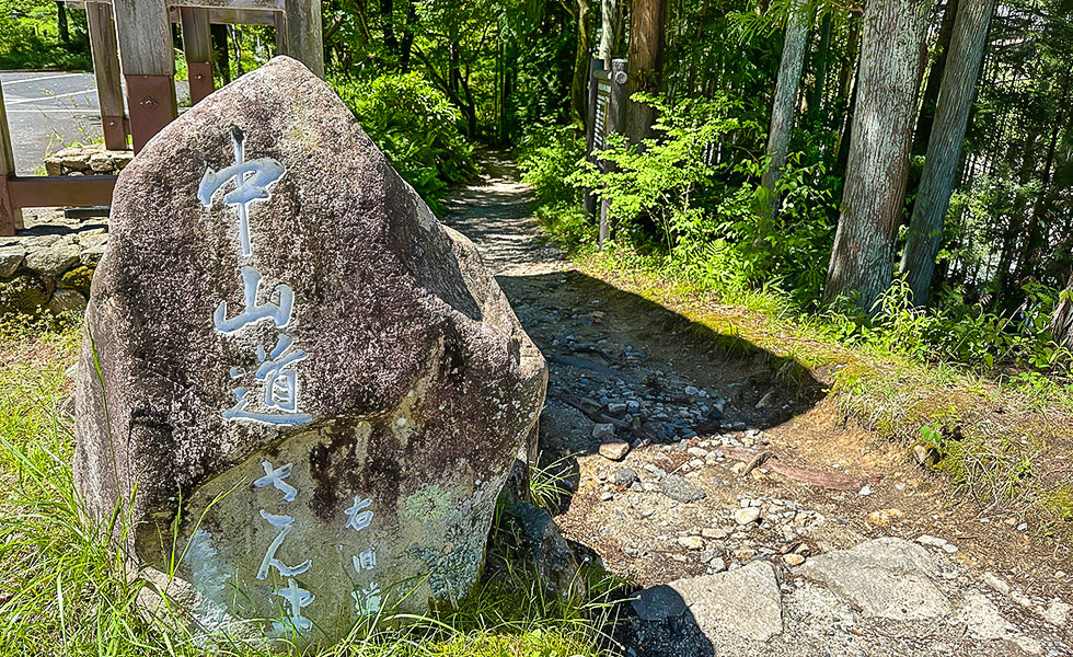 Hiking - Photo 38
