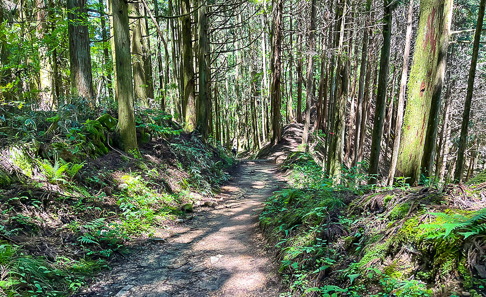 Hiking - Photo 26